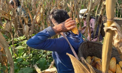 Sucumbíos y Orellana mostraron su oferta / Foto: cortesía MAG