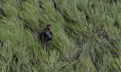 Un bombardeo en la selva colombiana del Guaviare mató a 19 guerrilleros, entre ellos siete menores reclutados / Foto: cortesía El País