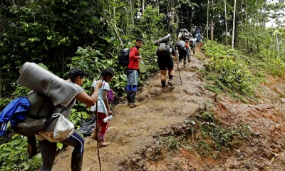 Desde el 1 de enero de 2023 han cruzado por el Darién 248.901 migrantes, la mayoría son venezolanos (136.650), seguidos de los ecuatorianos (34.357)/ Foto: cortesía EFE