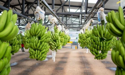 Principales noticias de Ecuador hoy - 20 de Junio de 2025 / Foto: cortesía Forbes Ec