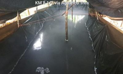 La gasolina blanca es un precursor químico utilizado en la producción de sustancias controladas / Foto: cortesía Ejército 