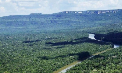 De acuerdo con datos de monitoreo ambiental, el área protegida pasó de tener más de 210.000 hectáreas de bosque a cerca de 135.000 en 2024 / Foto: cortesía El Tiempo