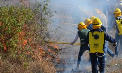 En Ecuador, desde 2010 al 2022 se registraron 22.022 incendios forestales / Foto: cortesía MAATE