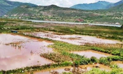 La provincia del Guayas concentra la mayor parte del impacto agrícola, con aproximadamente 54.000 hectáreas bajo agua / Foto: cortesía