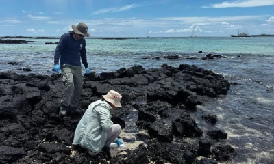 Para los especialistas, estos hallazgos enfatizan la necesidad de mejorar el tratamiento y la distribución del agua / Foto: cortesía Parque Nacional Galálagos