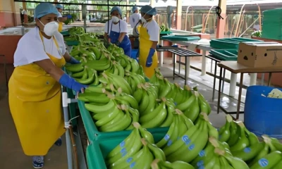 La deuda con el SRI era de alrededor de 95 millones de dólares / Foto: cortesía 
