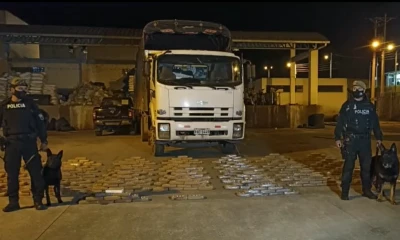 La ilegal mercancía fue detectada por perros antidrogas al inspeccionar el vehículo / Foto: Cortesía