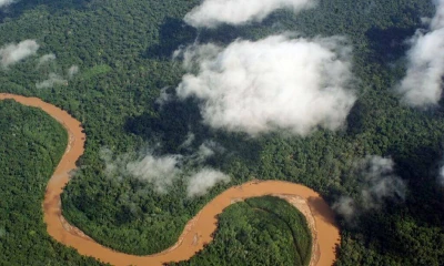 Wikimedia - Creative commons