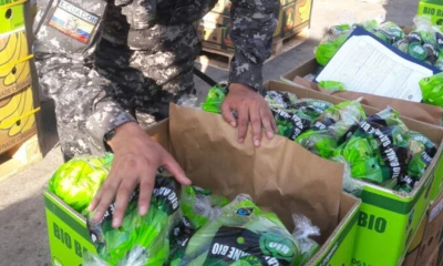 Noticias del Ecuador Medios Nacionales -11 de Octubre de 2022 / Foto: cortesía 