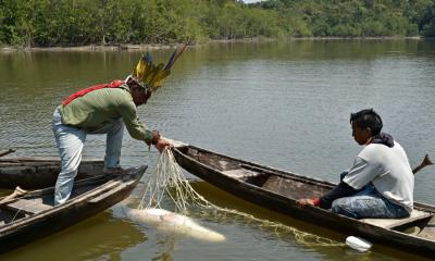 También contempla la gestión sostenible de la pesca mediante acuerdos regulatorios regionales / Foto: cortesía FAO