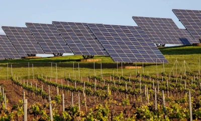 Recursos naturales: el mundo entra hoy en "números rojos" / Foto: EFE