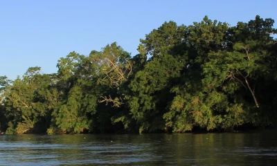 El Acuerdo de Escazú fracasó en su primer intento / Foto: El Oriente