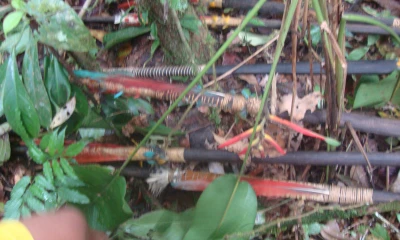 Estas son parte de la cultura de guerra que tienen las comunidades waorani. Foto: La Hora