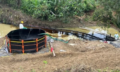 El derrame de petróleo por la rotura del SOTE se produjo el 13 de marzo / Foto: cortesía MAATE