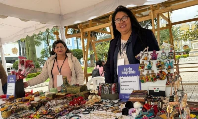 La feria se desarrolló en el Parque Central de Loja / Foto: cortesía MIES