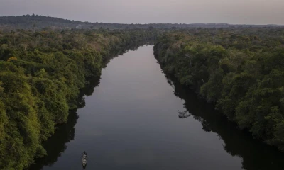 El análisis lo llevó a cabo la Red Amazónica de Información Socioambiental Georreferenciad y MapBiomas / Foto: EFE
