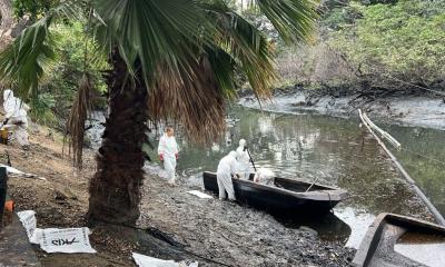Las labores de limpieza y desintoxicación se llevaron a cabo entre varias instituciones, empresas y sectores sociales / Foto: cortesía MAATE
