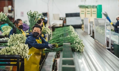 Los primeros 5 días de paro dejaron unos $ 350 millones en pérdida / Foto: cortesía Expoflores
