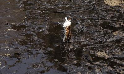 El director de CooperAcción recordó que 11.900 barriles fueron vertidos a las costas limeñas / Foto: EFE 