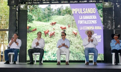 Ecuador es el cuarto país de Latinoamérica en firmar un acuerdo comercial bilateral con China / Foto: cortesía Presidencia