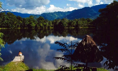 Para 2030 busca restaurar y cultivar treinta millones de árboles / Foto: cortesía EFE