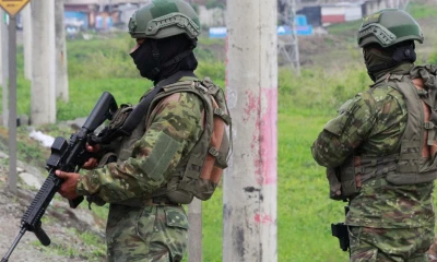 Las fuerzas de seguridad del Estado han detenido en dichas operaciones hasta el momento a 7.712 personas, 241 de ellas bajo cargos de terrorismo./ Foto: cortesía EFE