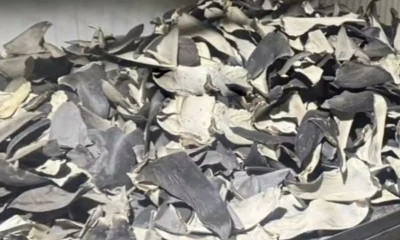 Tres personas de la banda fueron detenidas / Foto: cortesía 