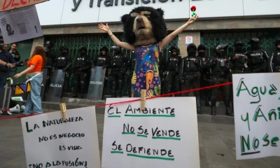 Los manifestantes se reunieron este jueves frente al Ministerio de la Mujer y Derechos Humanos y posteriormente también llegaron al Ministerio de Ambiente mientras propagaban gritos y consignas como "Fuera, Noboa, fuera"./ Foto: cortesía EFE