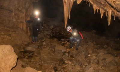 Cueva de los Tayos, un atractivo turístico misterioso en medio de la selva / Foto: El Oriente