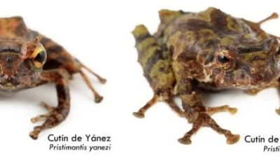 Foto: Noticias de la Ciencia