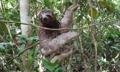 Principales noticias de Ecuador hoy - 17 de octubre de 2023 / Foto: cortesía Policía Nacional 