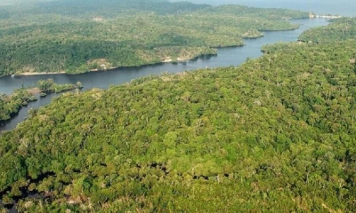 Esa fue la conclusión del estudio divulgado por la Fundación Oswaldo Cruz (Fiocruz)./ Foto: cortesía EFE