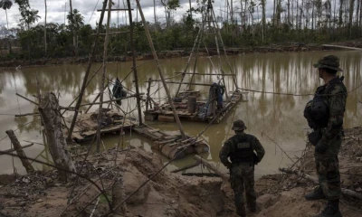 Estrategia incluye acciones coordinadas entre Policía y Fuerzas Armadas para enfrentar economías ilícitas que afectan la seguridad y la inversión/ Foto: cortesía