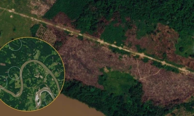 Más de 70 de estas pistas son utilizadas por redes criminales / Foto: cortesía Mongabay