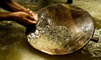 Informe revela que varias empresas con alta producción aurífera operan bajo el régimen de pequeños productores, dificultando el control de la minería ilegal en Perú./ Foto: cortesía