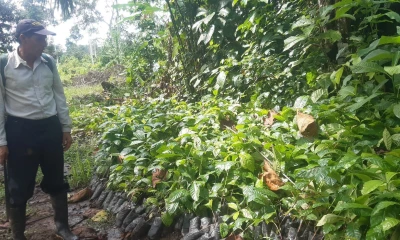 El MIES ha entregado 227 Créditos de Desarrollo Humano en la provincia durante el 2023 / Foto: cortesía MIES