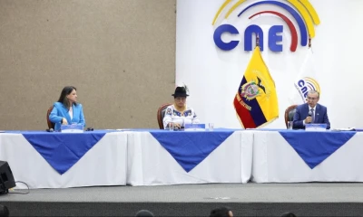 Su nombramiento se produce cuando la institución se prepara para los próximos comicios seccionales / Foto: cortesía CNE