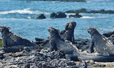 3,8 millones se asignaron a proyectos comunitarios para iniciativas de educación ambiental y pesca sostenible / Foto: cortesía Finch Bay