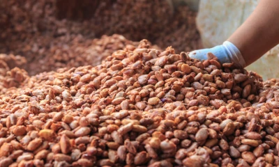 Se prevé una ligera normalización en los costos de producción durante los próximos meses / Foto: cortesía
