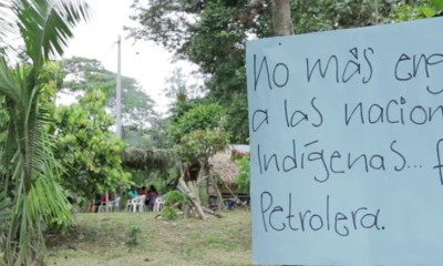 Foto: Mongabay Latam