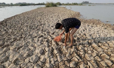El estudio explora cómo los cambios en las condiciones oceánicas y atmosféricas provocados por El Niño y La Niña alteran los ecosistemas marinos / Foto: EFE