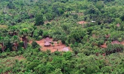 En abril, Taisha sufrió un brote de la bacteria leptospira, causante de la leptospirosis / Foto: cortesía