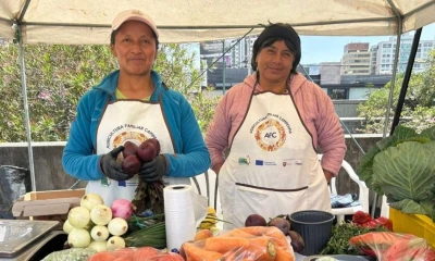 Las capacitaciones están dirigidas principalmente a pequeños productores, con énfasis en mujeres y jóvenes rurales / Foto: cortesía