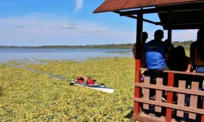 DISFRUTE. La laguna de Limoncocha es recorrida en bote por los turistas. Foto: La Hora