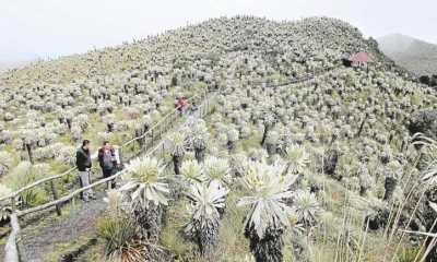Foto: Diario El Norte