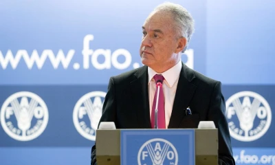 "La Amazonía está enfrentando amenazas sin precedentes. Las proyecciones sugieren una alarmante deforestación para el 2030" / Foto: cortesía FAO