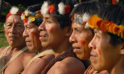 El Bloque 43-ITT está situado dentro del Parque Nacional Yasuní / Foto: cortesía 