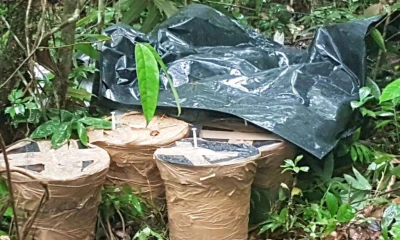 Militares informaron a la Fiscalía y Policía para los respectivos trámites.