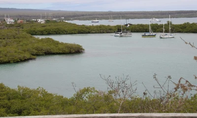 Personal del Parque Nacional Galápagos (PNG) colaboró con el rescate./ Foto: cortesía