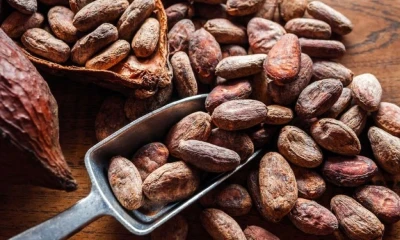 Firmas como Hershey han alertado que los costos elevados del cacao podrían trasladarse al consumidor final / Foto: cortesía